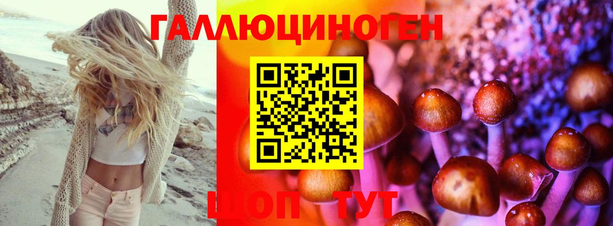 MDMA Бердск